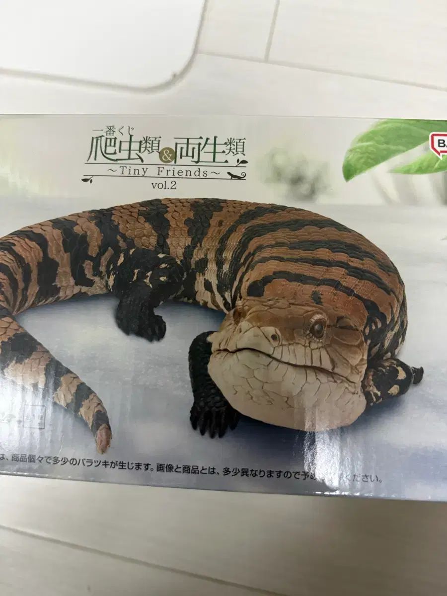爬虫類 両生類 一番くじ A賞 ブルーデラックス フィギュア