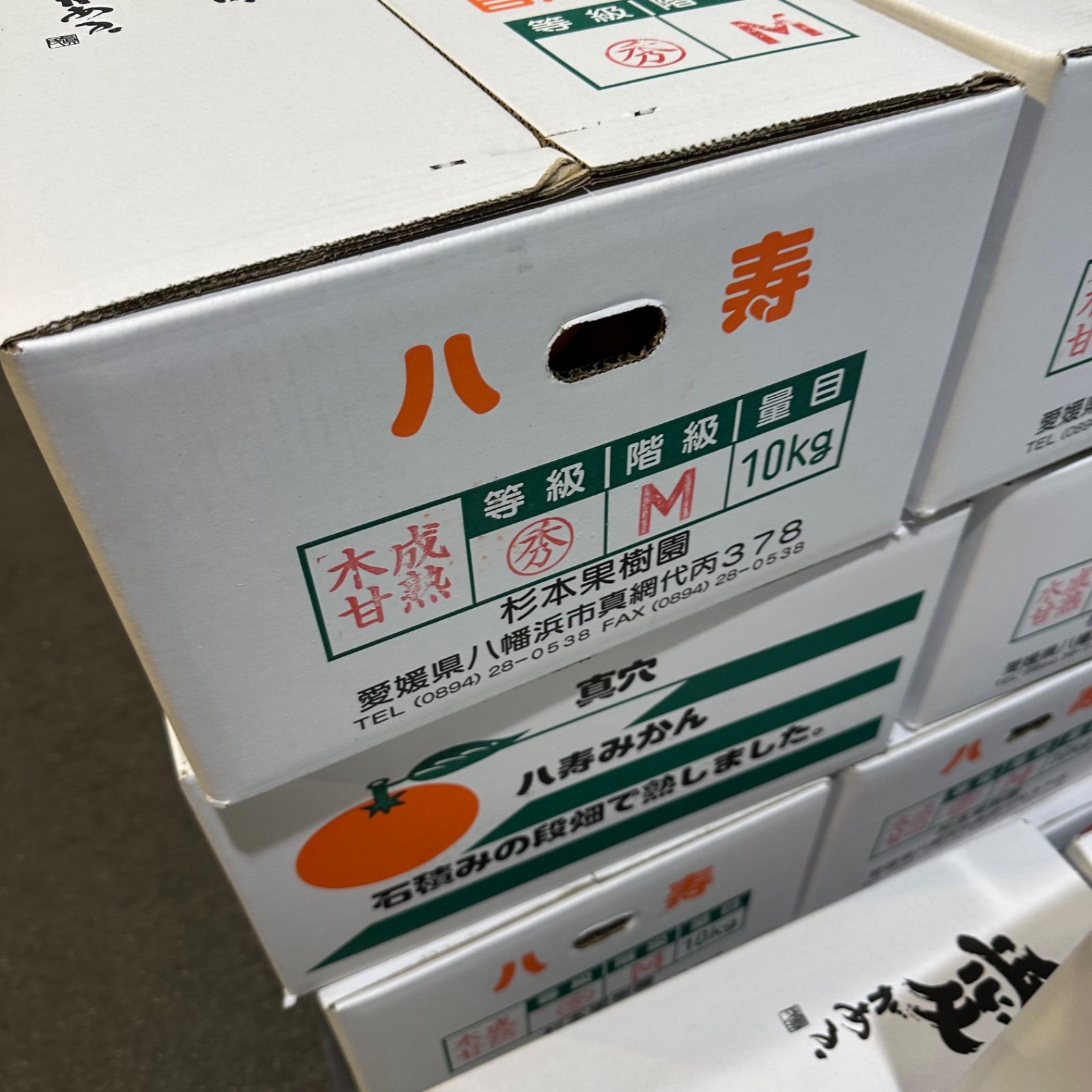 限定30⭐️激ウマ真穴八寿みかん 10kgx2箱 - メルカリ