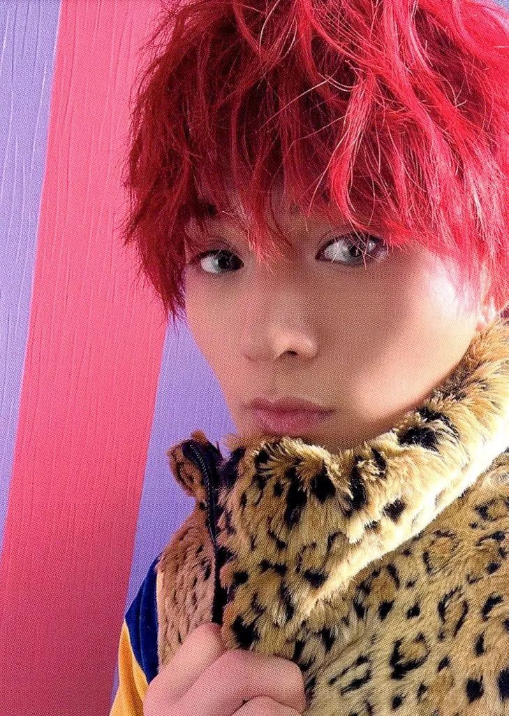 中古】コレクションカード(男性) FANTASTICS from EXILE TRIBE/八木勇