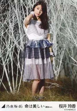 乃木坂46 桜井玲香 生写真まとめ売り 乃木坂46 生写真 桜井玲香 バラ売り 乃木坂46 生写真 桜井玲香 まとめ