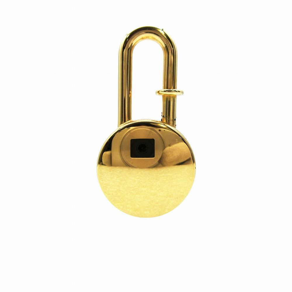 HERMES エルメス 08年限定 lotus flower cadena charm 蓮の花 カデナ