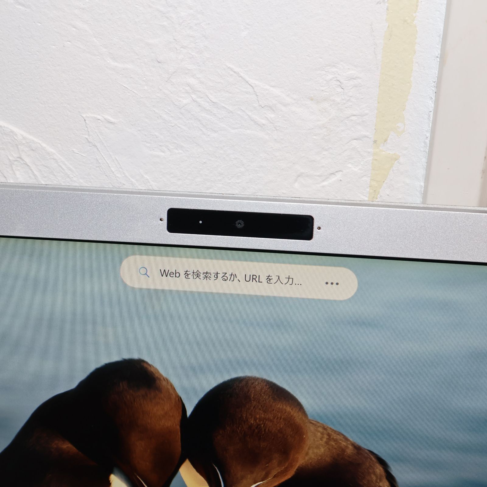 特価！Win11公式対応8世代Corei5/SSD/メ8G/FHD/無線/カメラ - メルカリ