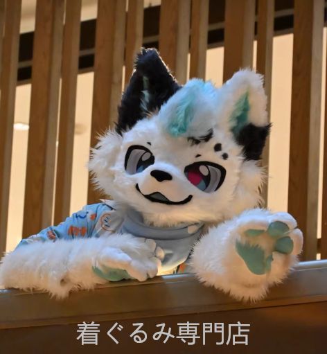 猫 犬 着ぐるみ ケモノ体 フルスーツ セット 全頭ヘッド ファースーツ