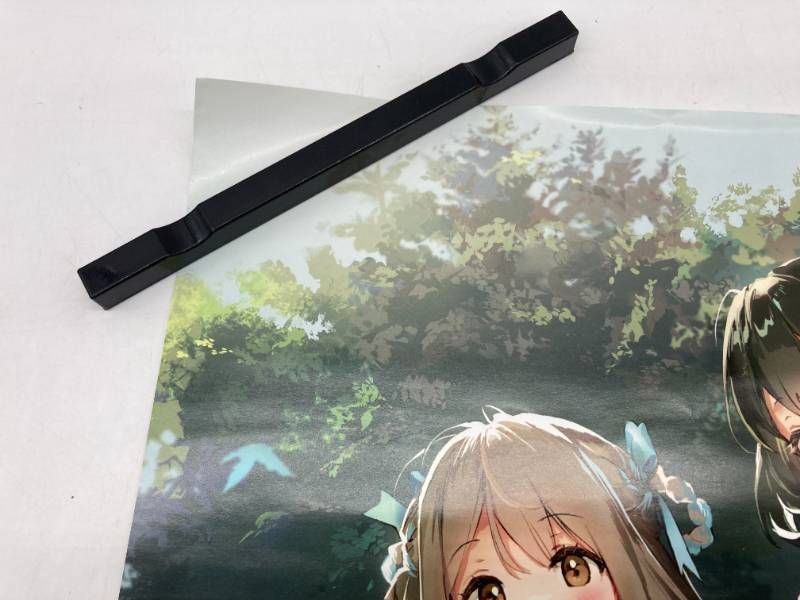 激レア】C100 コミケ100 森林保護募金 ポスター Anmi メガネ少女