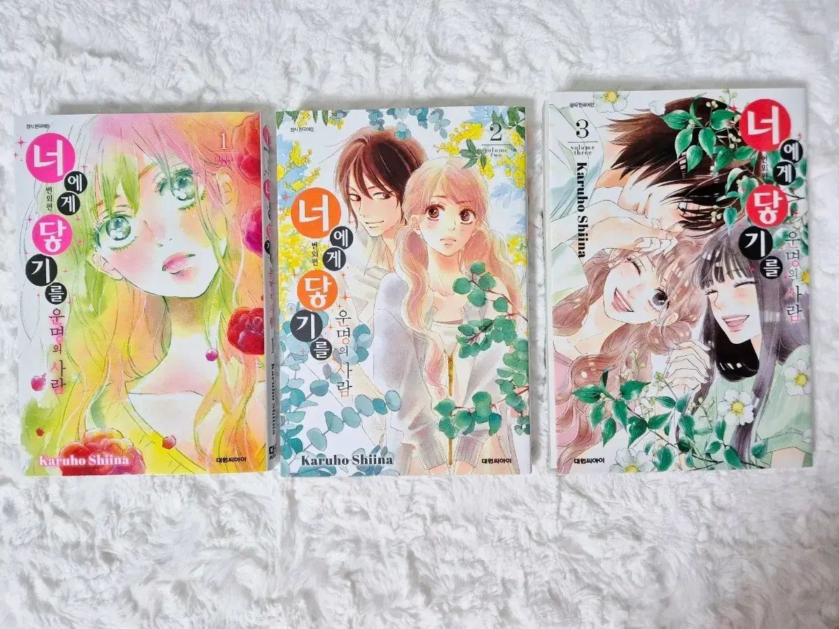 外科医エリーゼ 1 (フロース コミック) 外科医エリーゼ 1～14巻 全巻