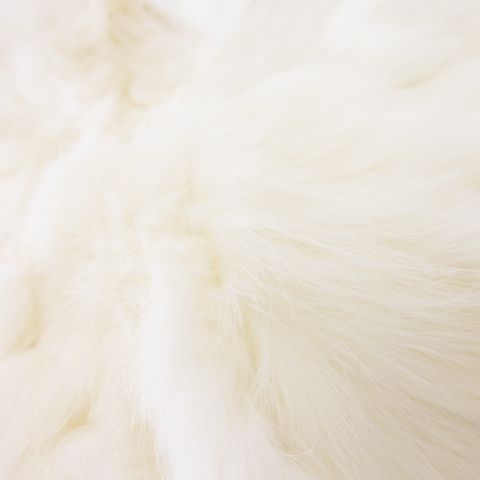 ジェイ ホワイト J-white ラビットファー ジャケット 毛皮 F 白