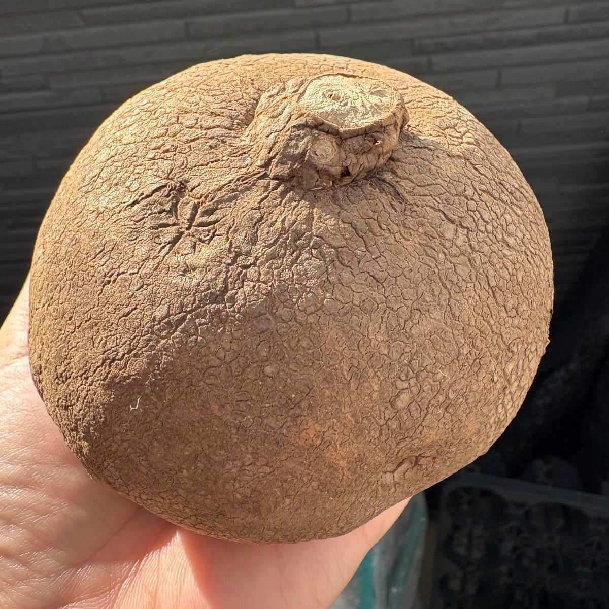 専用ページ - メルカリ