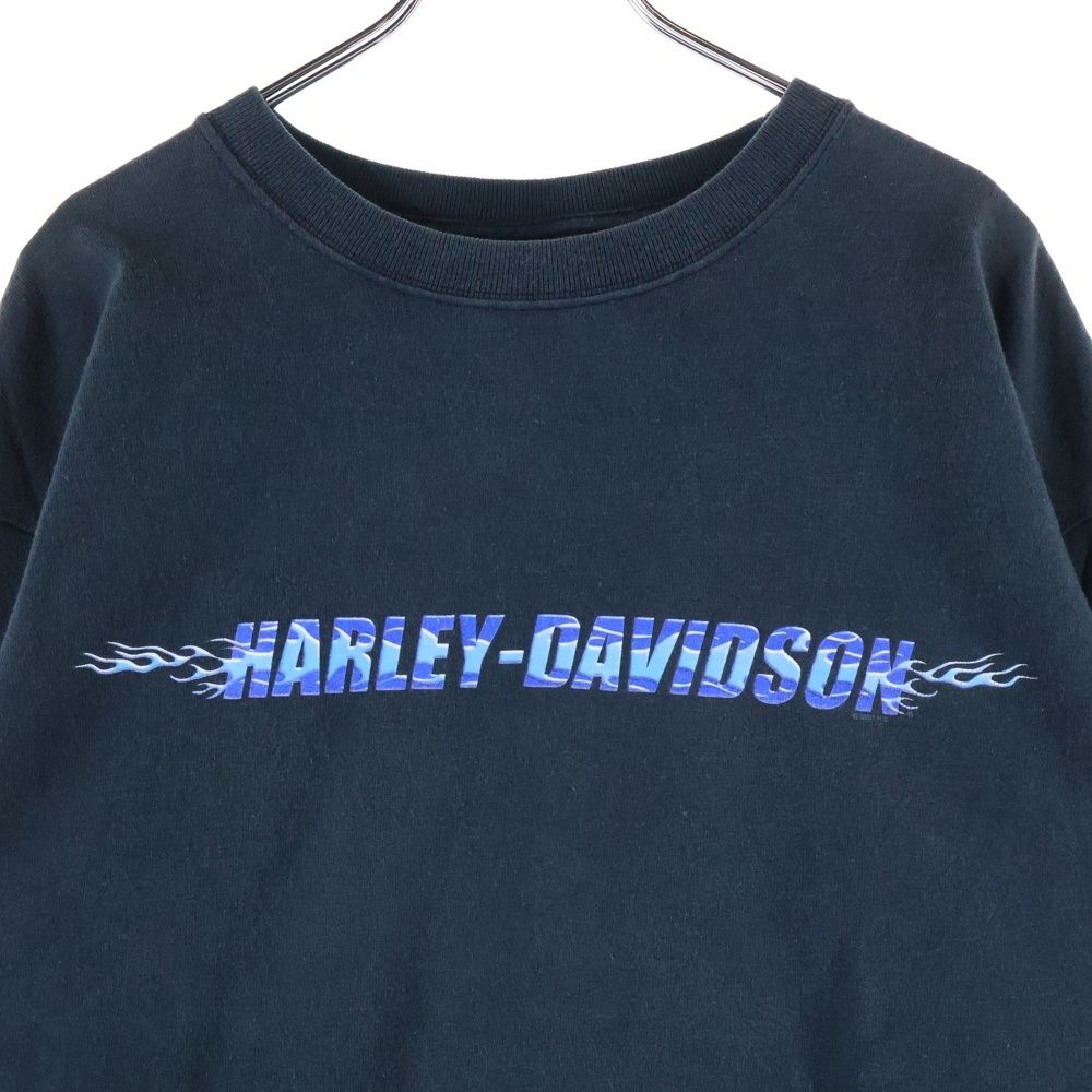 HARLEY DAVIDSON (ハーレーダビッドソン) 00s VINTAGE BLUE FLAME L/S