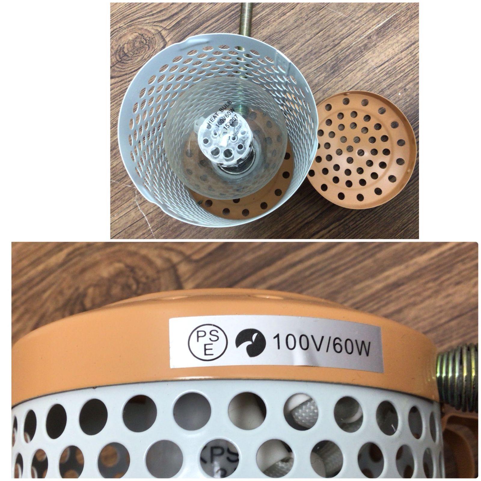鳥用品 小鳥 保温電球 40W + 60W + サーモスタットセット