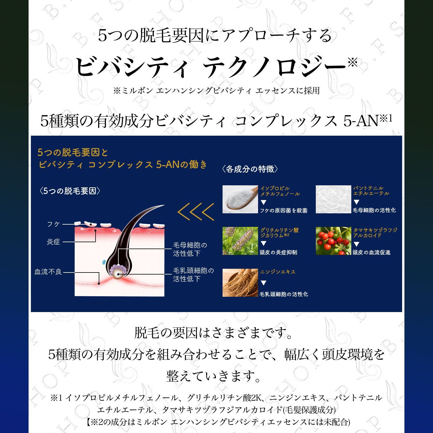 カメレオン 韮沢靖作品集 直筆サイン入り 画集初版第1刷 ロッキン