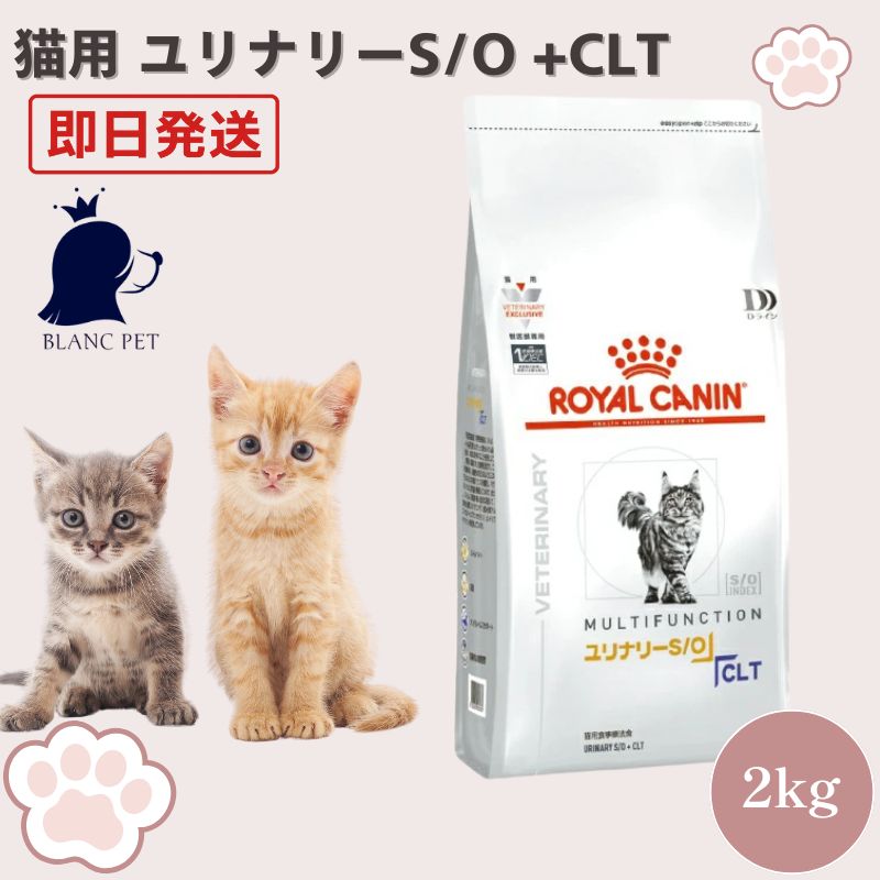 療法食専門店】 ロイヤルカナン 猫 ユリナリーS/O +CLT ドライ (2kg