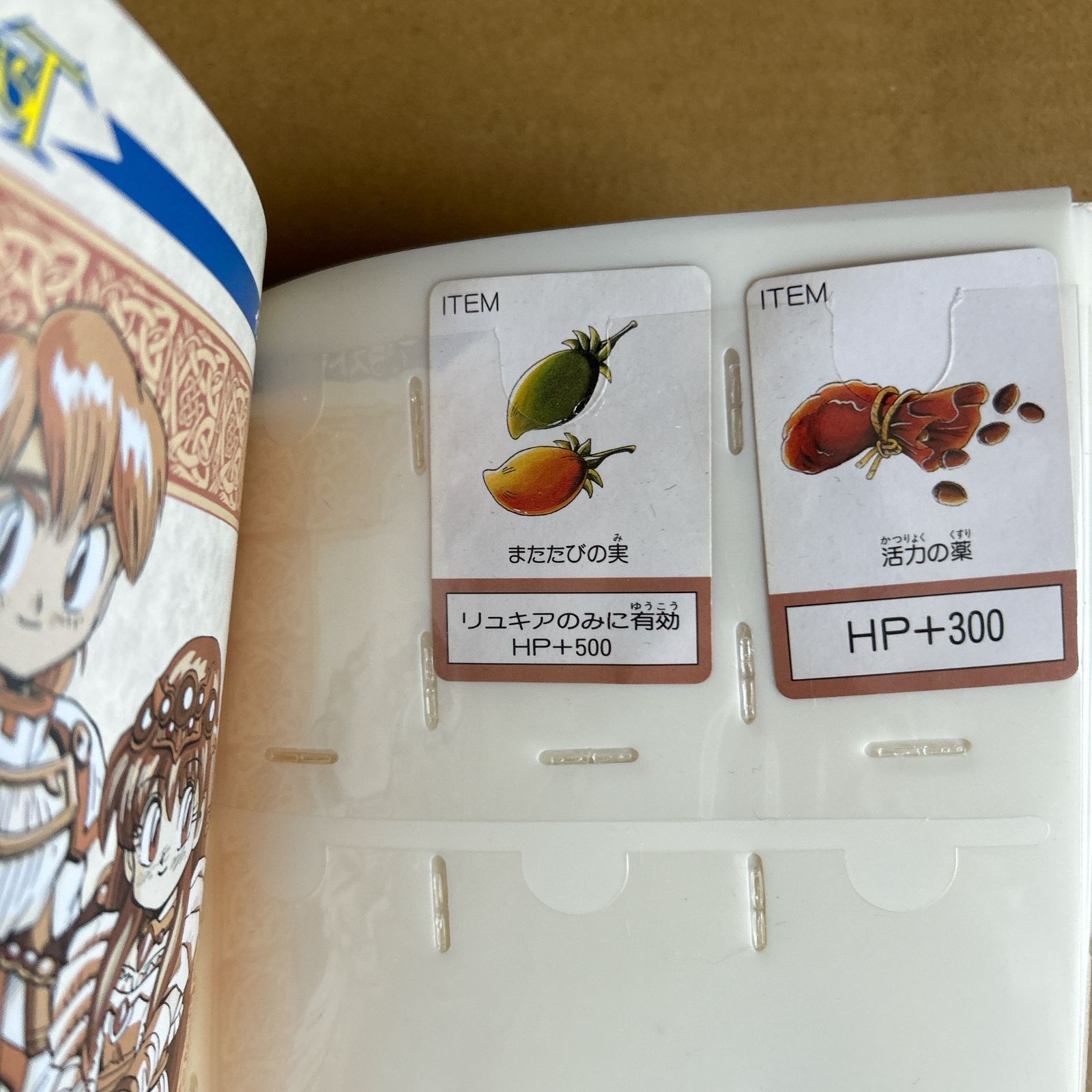 カード付！ヴィルガスト商工会公認 冒険ガイドブック 最終章(甲竜伝説