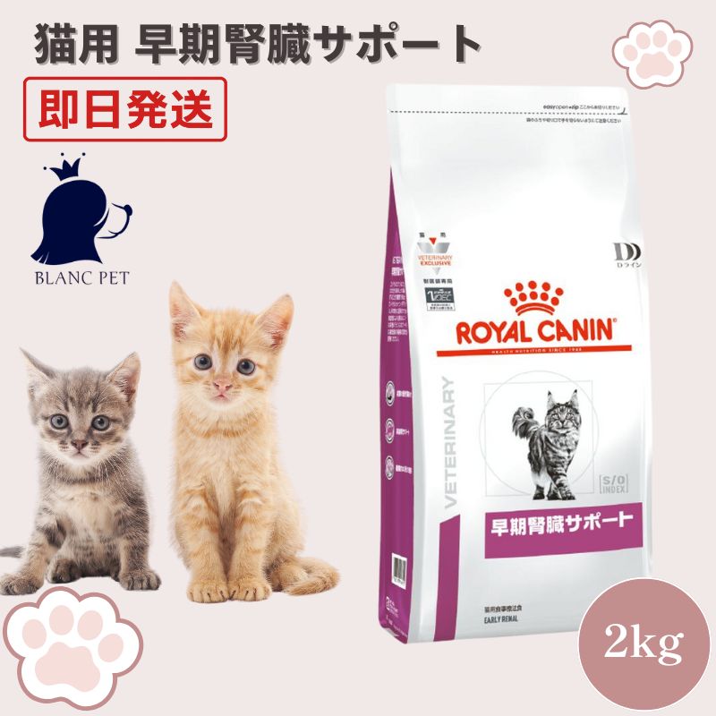 ロイヤルカナン 猫用 早期腎臓サポート ウェット 37袋(12袋入×3箱➕1