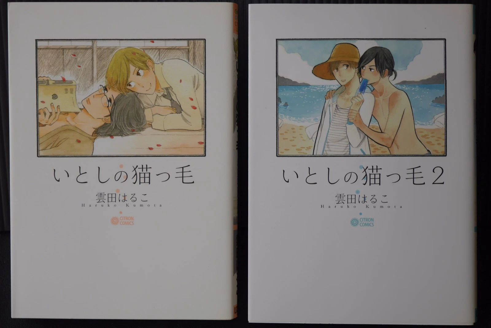 いとしの猫っ毛 1巻 2巻 セット 雲田はるこ - メルカリ