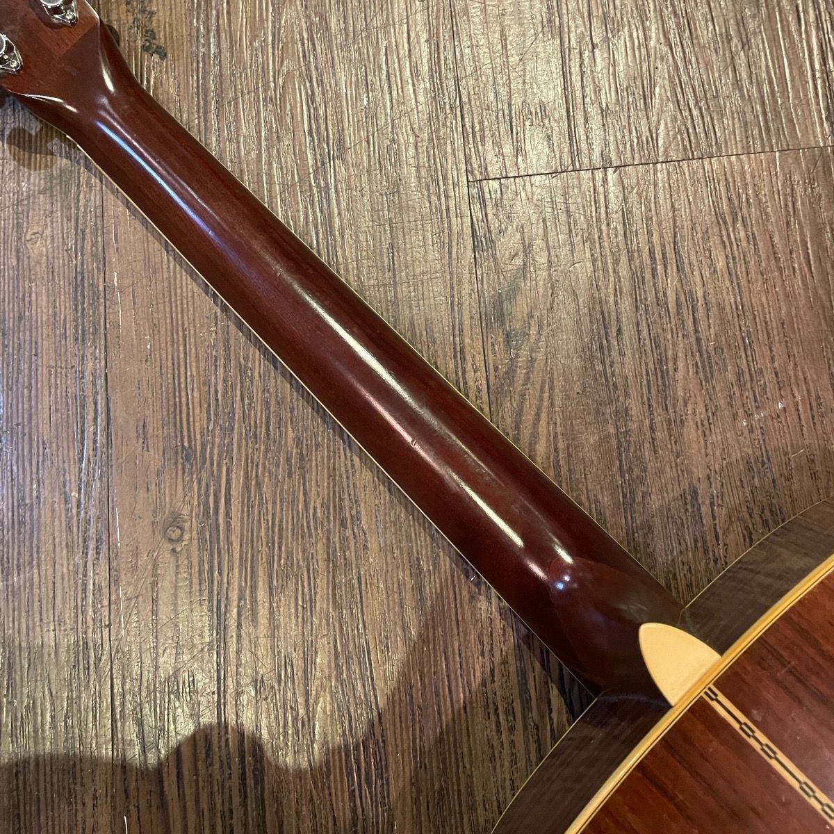 Tokai Cat's Eyes CE-250 Acoustic Guitar アコースティックギター