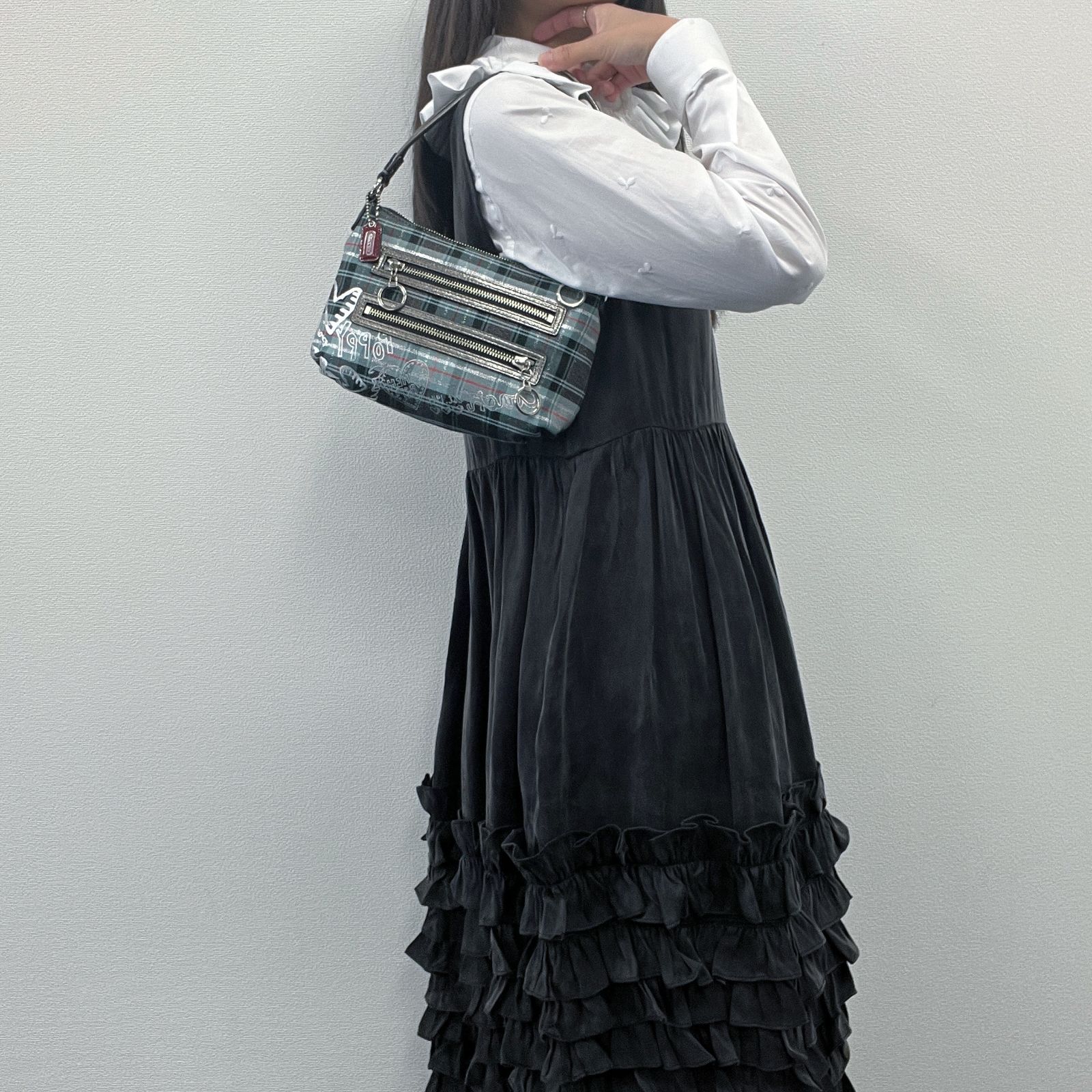 COACH コーチ ハンドバッグ ショルダーバッグ マルチカラー キャンバス 