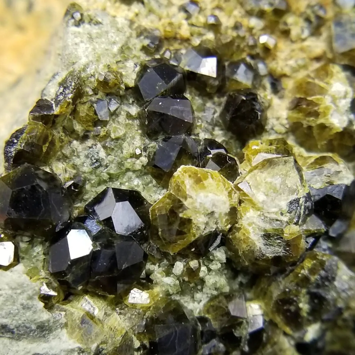 2026年最新】デマントイドガーネット原石標本の人気アイテム - メルカリ