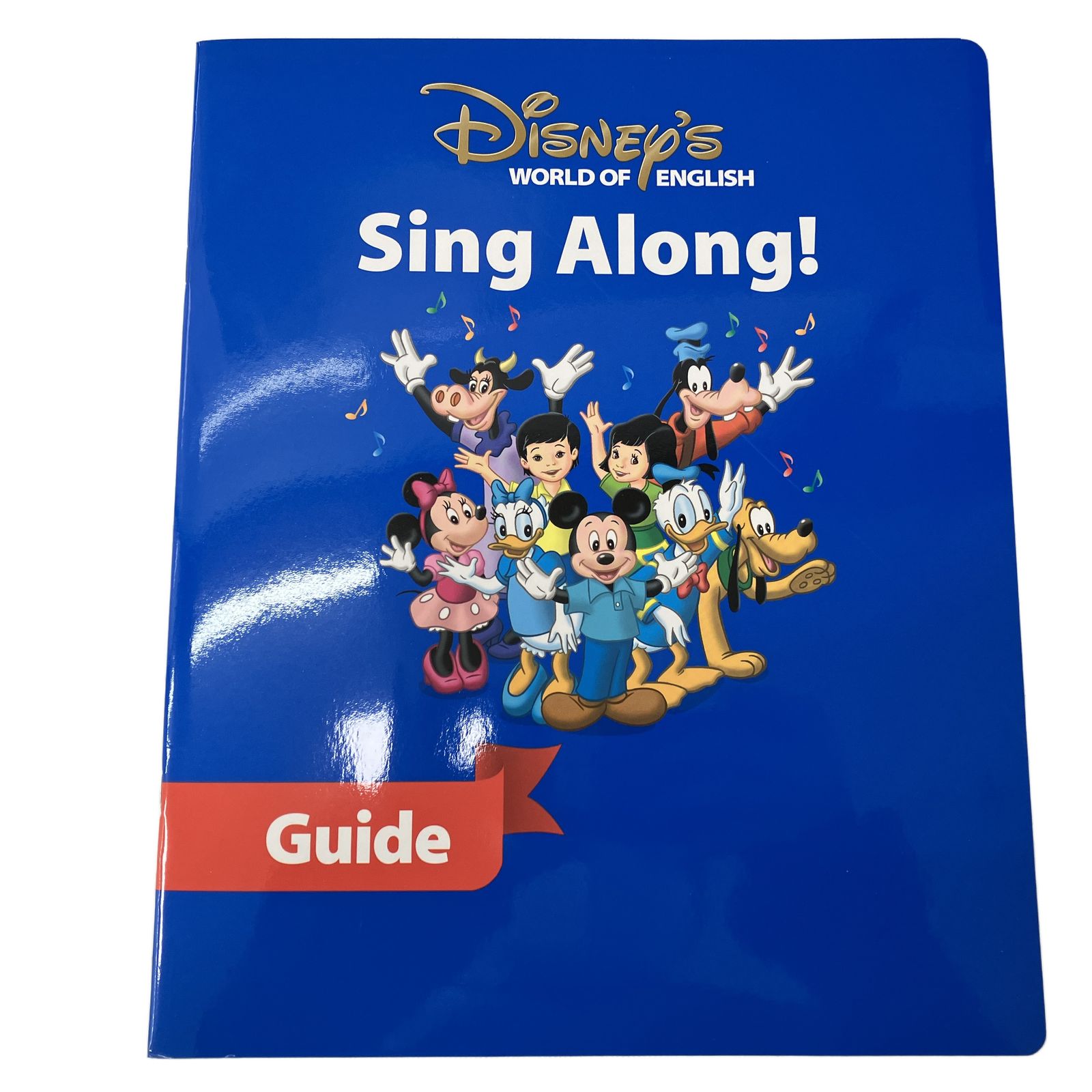 DWE 2017年頃 ストレートプレイ シングアロング DVD版 ディズニー 英語