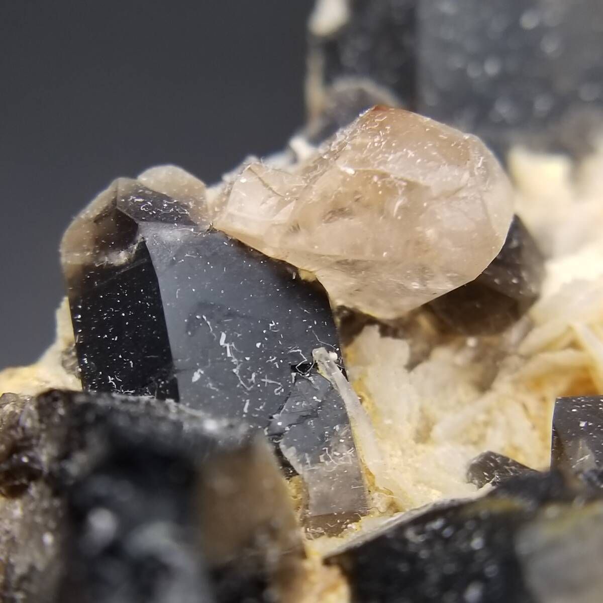 鉱物標本 トルマリン クォーツ 原石 標本 共生 パキスタン産 パキスタン産 ショール ブラック トルマリン クリスタル クラスター