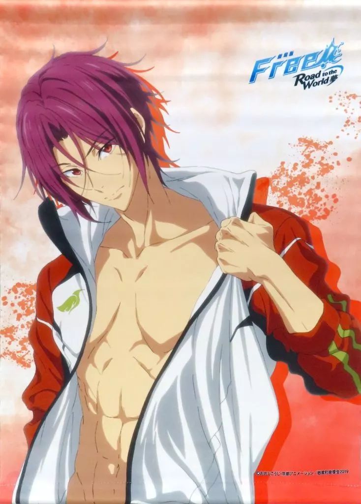 中古】タペストリー 松岡凛 A3タペストリー 「劇場版 Free!-Road to