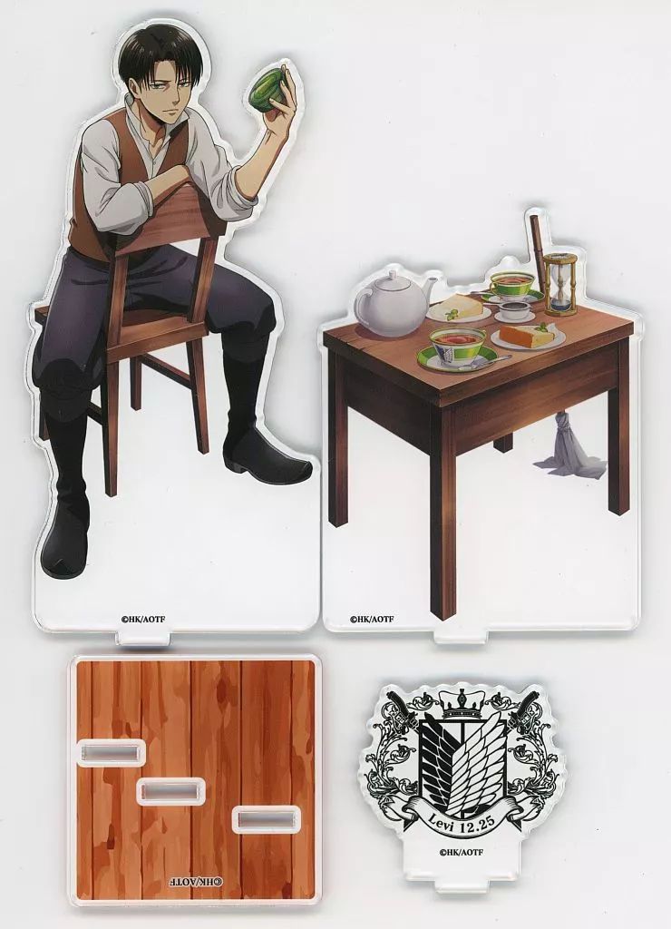 平凡之鹿】ビカクシダ ショップ YMDS Totoro HHRナーセリータグ付け