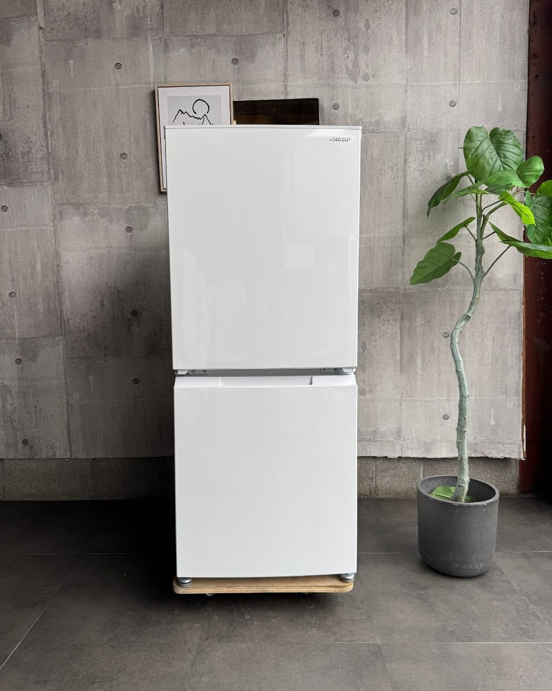 設置まで✨ SHARP 一人暮らし冷蔵庫 152L✨ 2022年製⭕️ - メルカリ