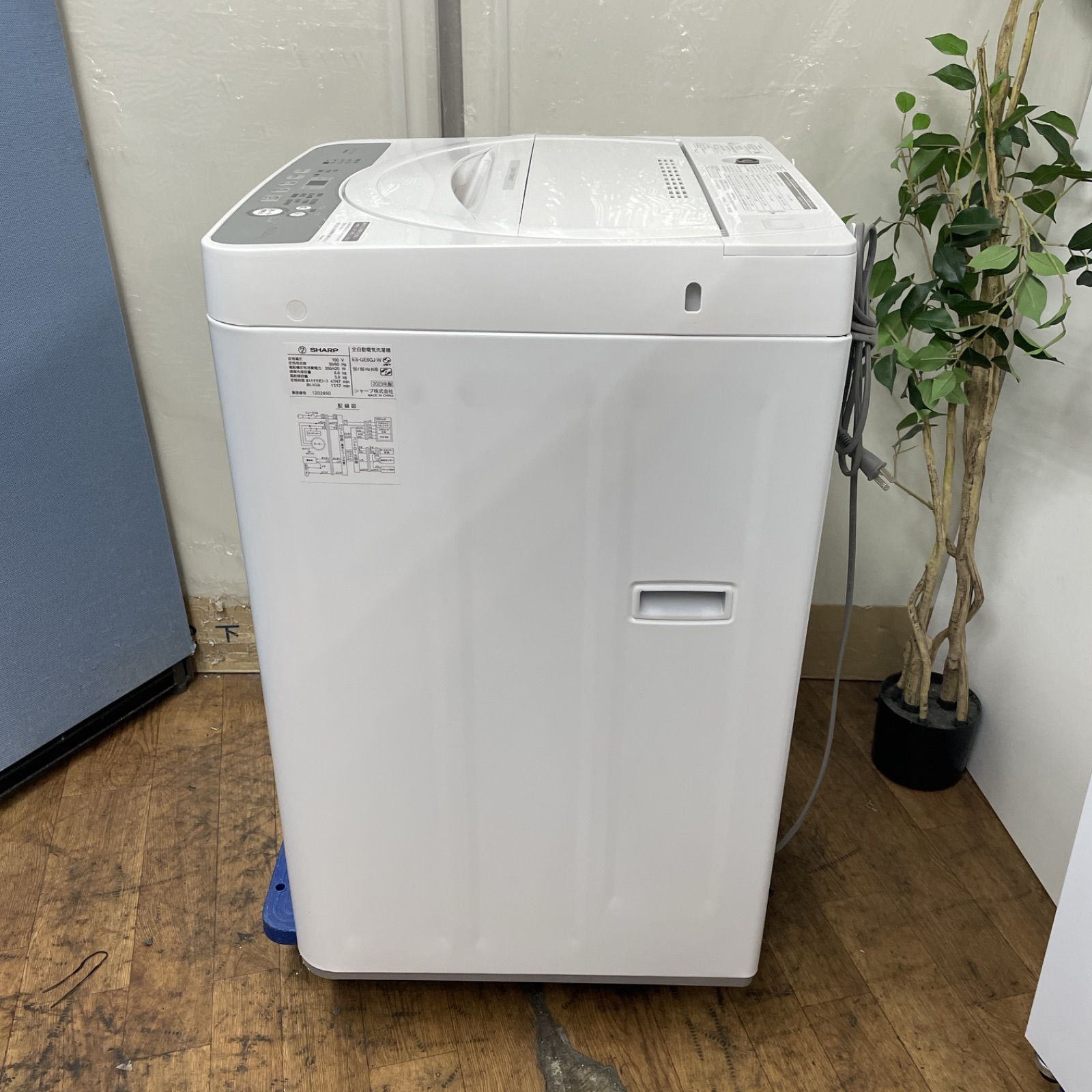 横浜市・川崎市送料無料　SHARP洗濯機　6,0kg 高年式 R229 ☀️ 名古屋市近郊配送設置無料！ 2023年製の高年式♪ SHARP 洗濯