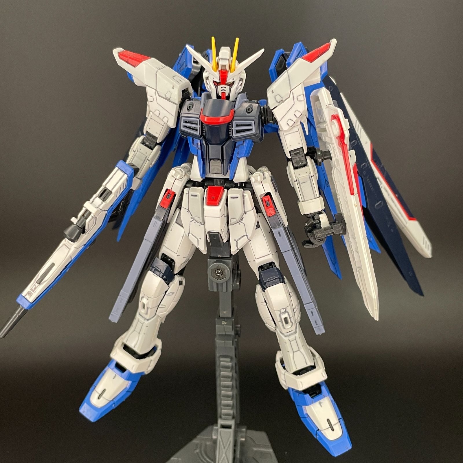 三共　フリーダム枠　中古　無加工 ガンプラ【中古品/黄ばみ、ほこり】 RG 1/144 ZGMF-X10A フリーダム
