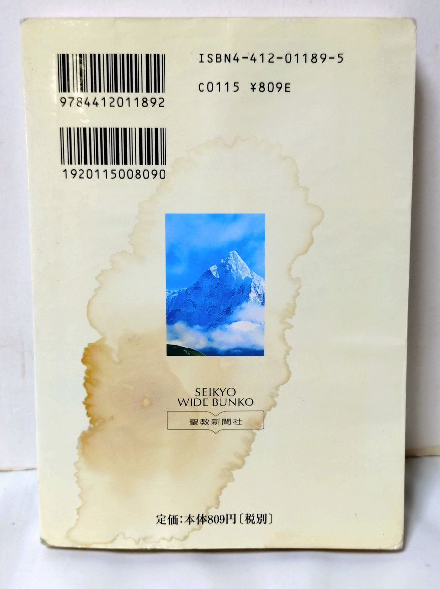 ギルギット出土法華経梵本（全2巻） ギルギット出土法華経梵本（全2巻） ギルギット出土法華経梵本（全2巻