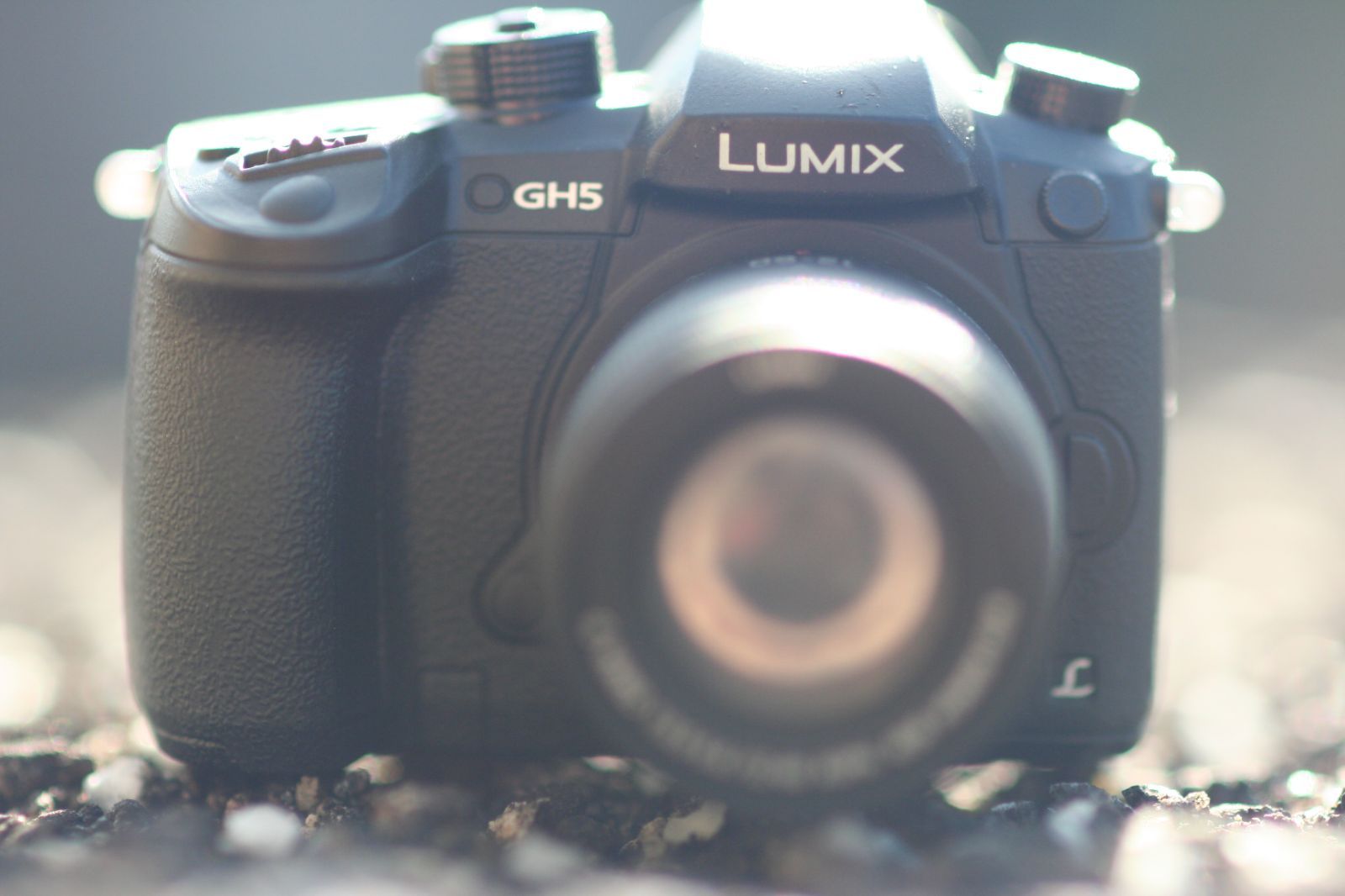 Canon EF 100mm f2 ジャンク Canon EF 100mm f2 ジャンク Canon EF 100mm f2 ジャンク EF100mm F2