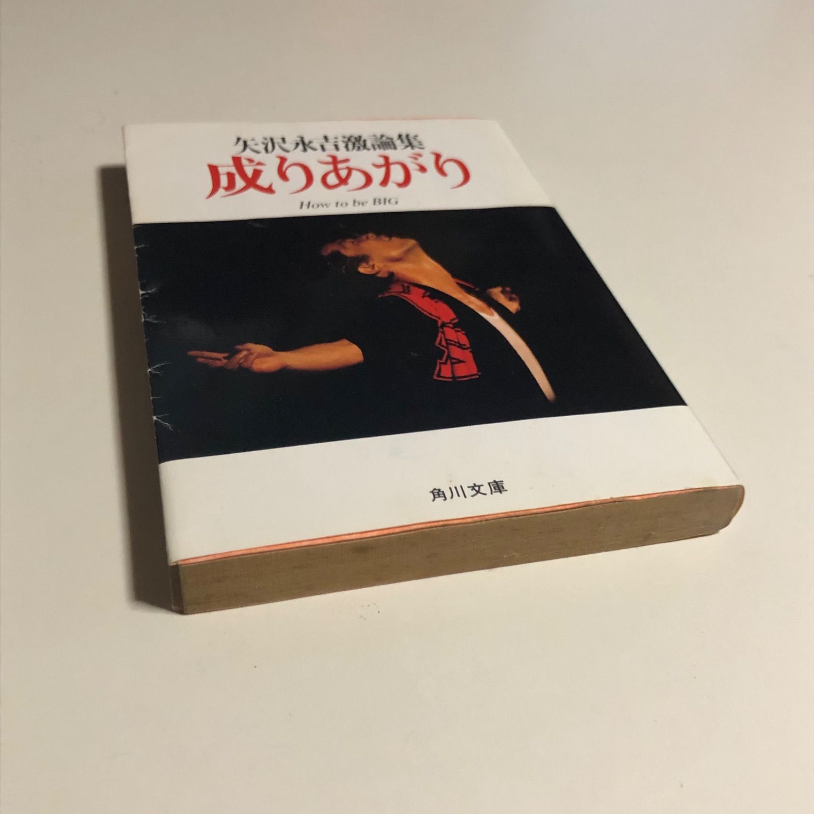 レア/入手困難】成りあがり : 矢沢永吉激論集 - メルカリ
