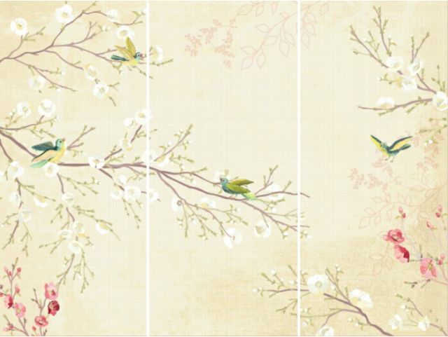 芋】 アロカシア メロ 斑入り