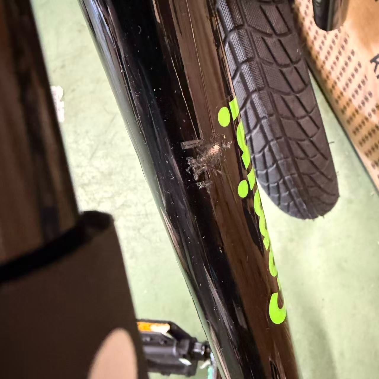 AVASTA】Gemini 16インチ子供用BMX自転車 かっこいい街乗りBMX自転車