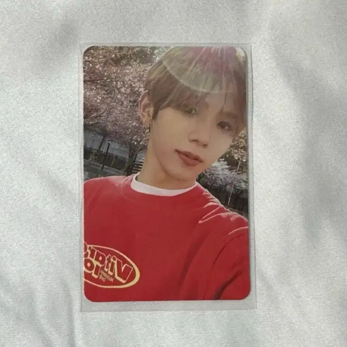 RIIZE（ライズ） ショウタロウ(SHOTARO・大﨑 将太郎) トレカ - メルカリ