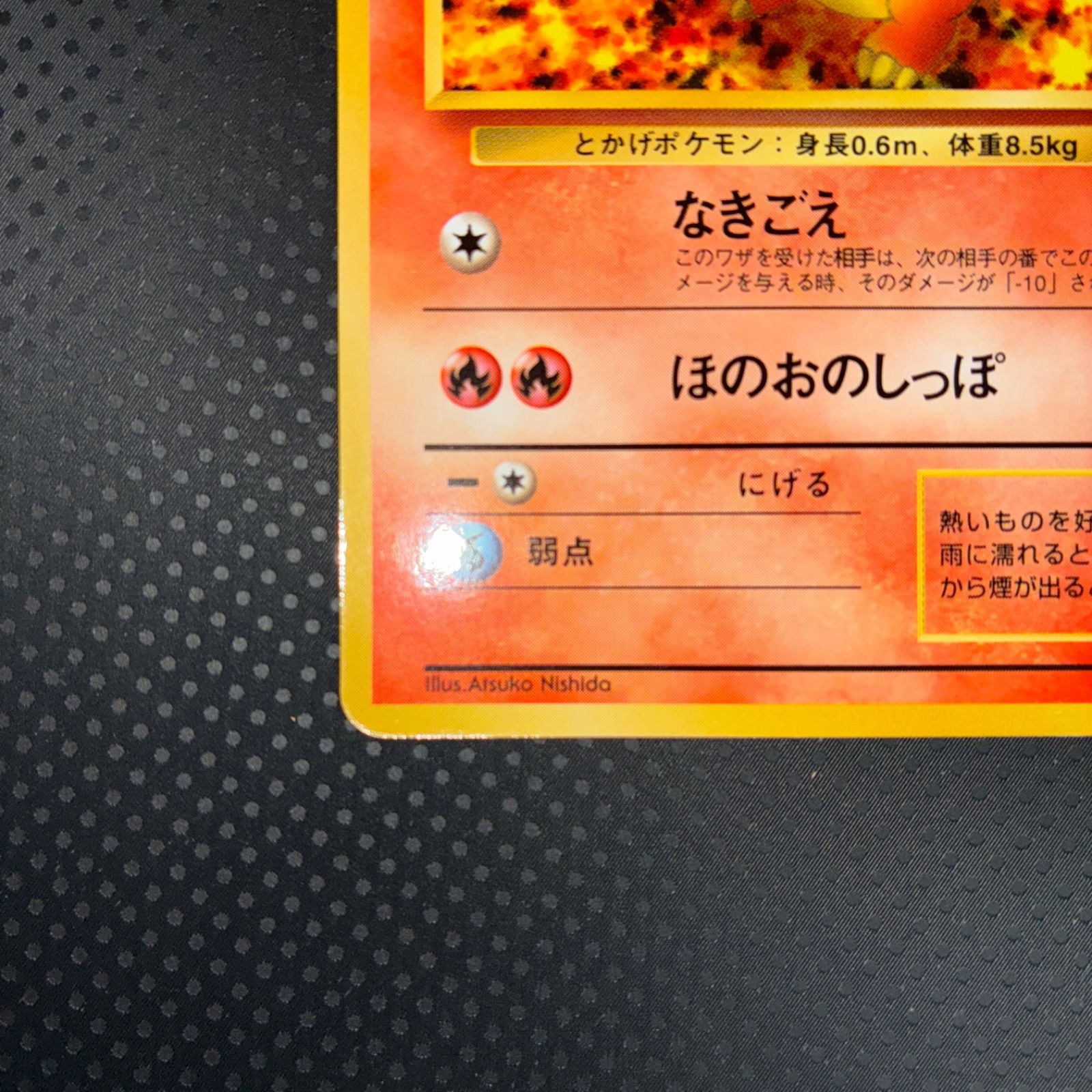 状態S ヒトカゲ 拡張シート 旧裏面 【公式通販】