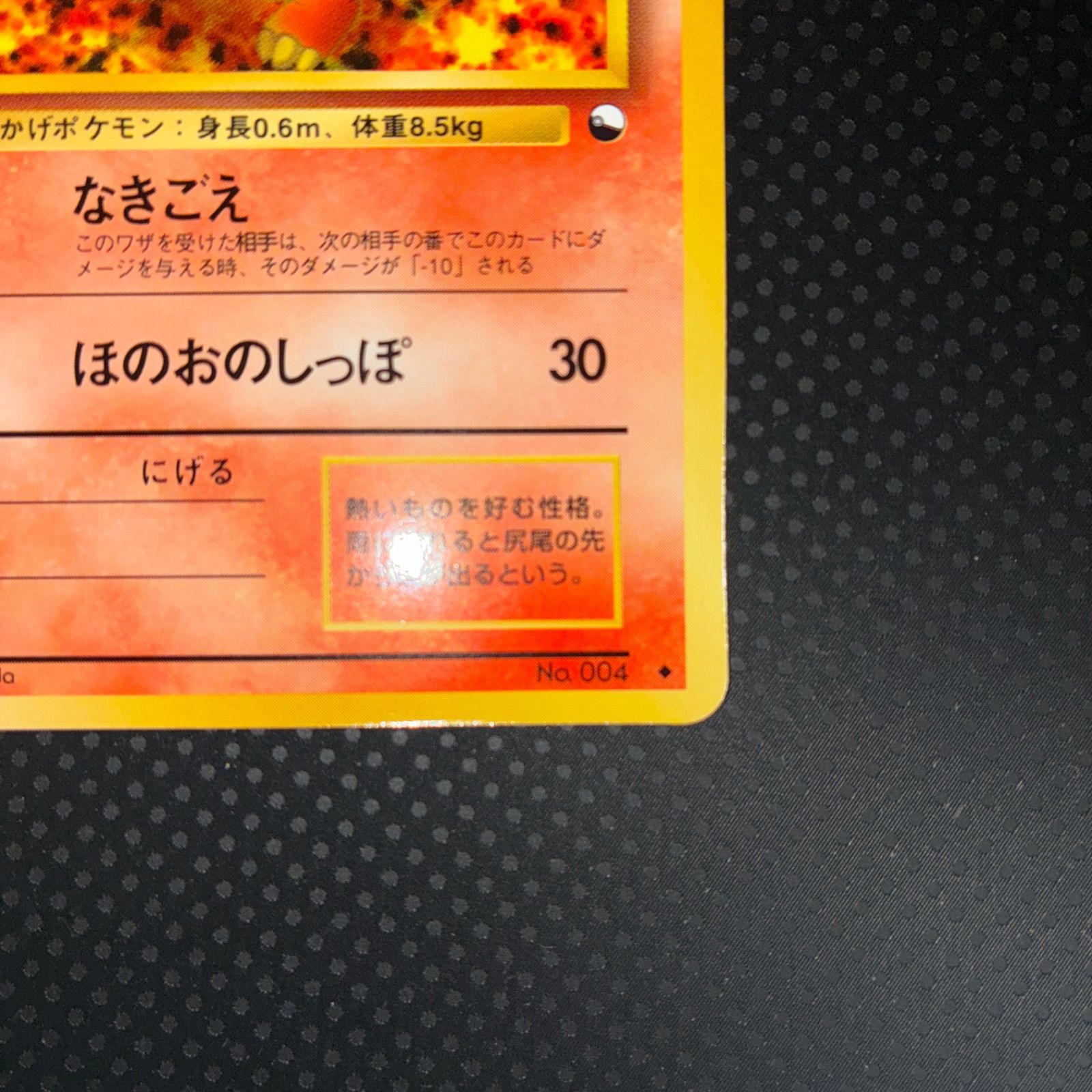 状態S ヒトカゲ 拡張シート 旧裏面 【公式通販】