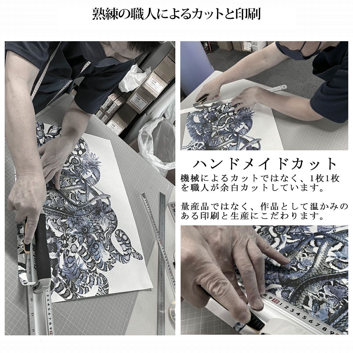 美容、健康 美品 SPTM セプテム EMOSIONAL pro バイタル