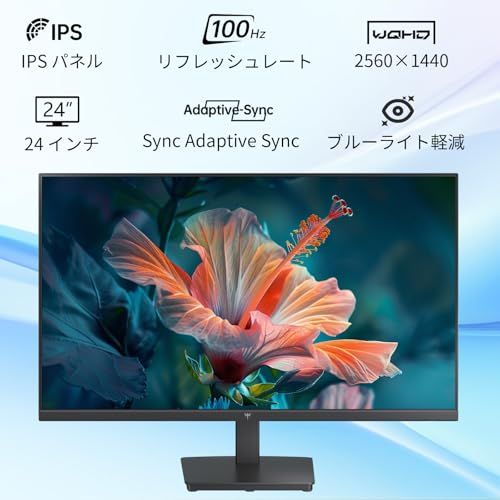 KTC 24インチ モニター WQHD(2560×1440) 100Hz IPSパネル ブルーライト