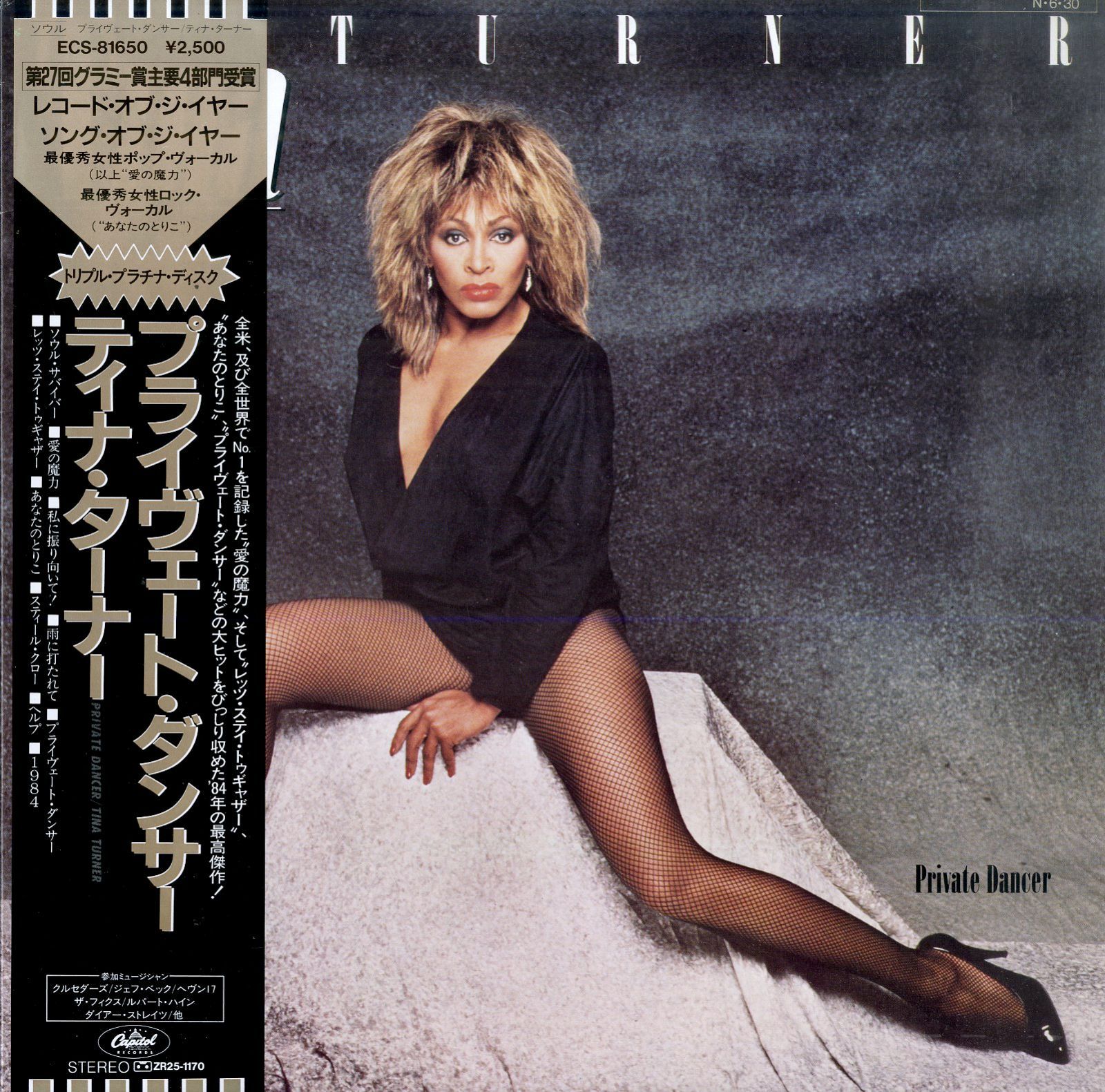 Tina Turner Private Dancer レコード ◤入荷◢ TINA TURNER / PRIVATE DANCER (40TH ANNIVERSARY EDITION