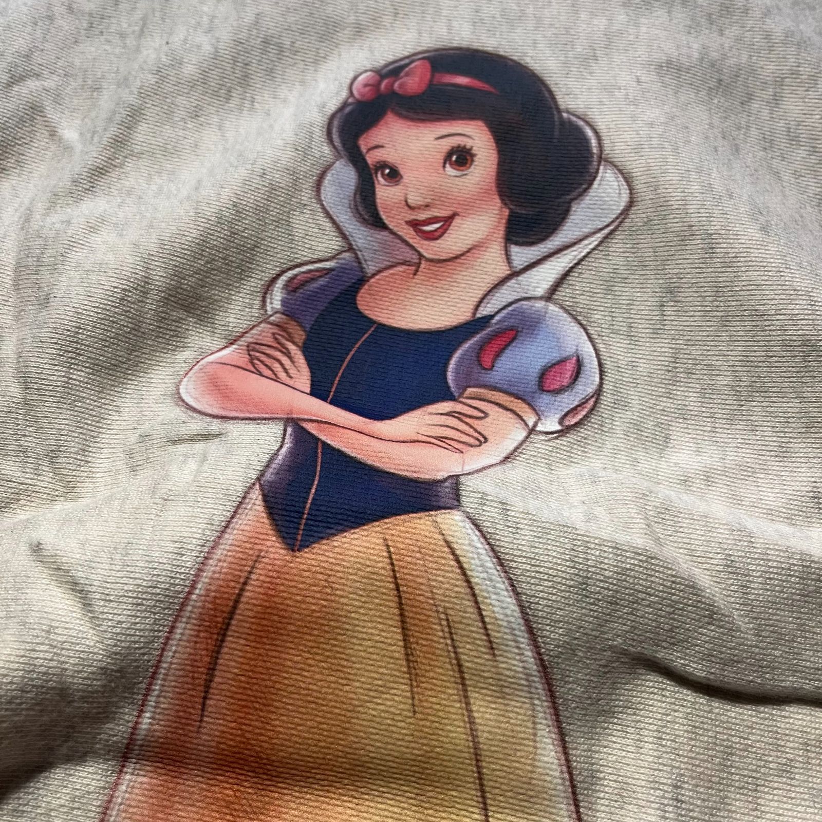 Champion × Disney BEAMS別注 Disney 100th Collection REVERSE WEAVE 