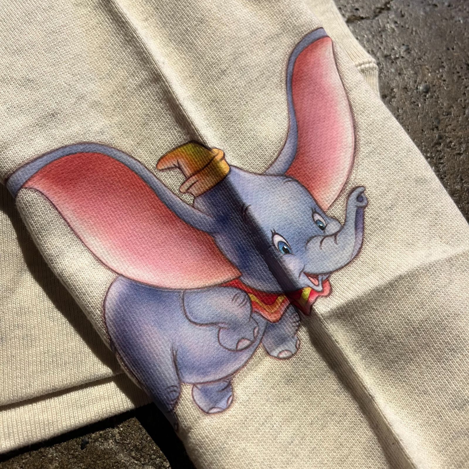 Champion × Disney BEAMS別注 Disney 100th Collection REVERSE WEAVE 