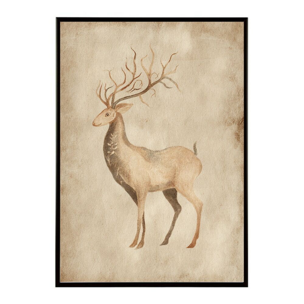 A 約42 x 59 cm lm poster 8606 フレーム付き トナカイ 北欧 シカ 鹿 アニマル 動物 アート おしゃれ プリントポスター フォト イラスト インテリア 印刷