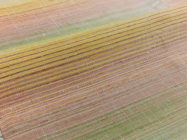 平和屋着物▽紅花紬 単衣 米沢 横段文 正絹 逸品 AABF0107jh - メルカリ