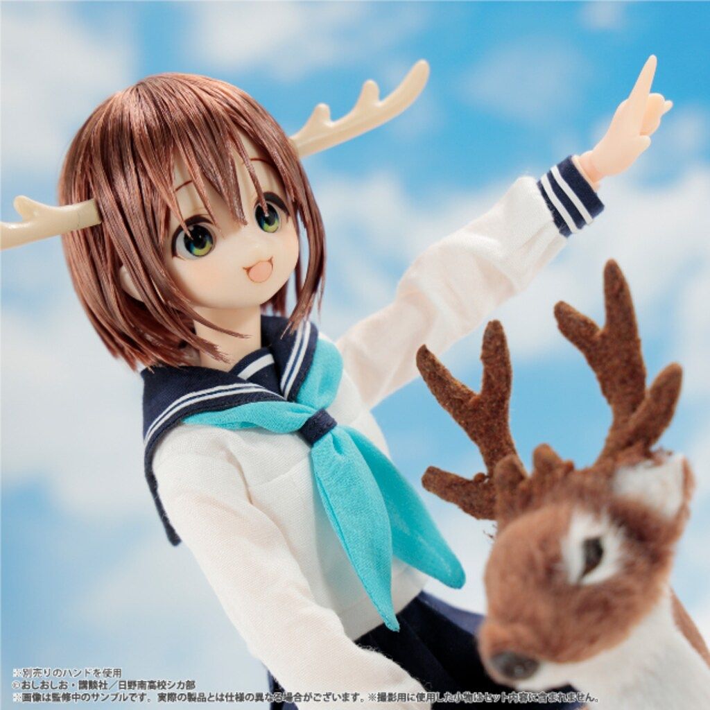 ☆新品☆ アゾン 1/6ピュアニーモキャラクターシリーズ しかのこのこの