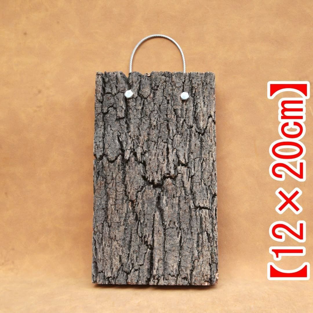 A626 ポルトガル産 高密度加工コルク板 コルク樹皮 バージンコルク