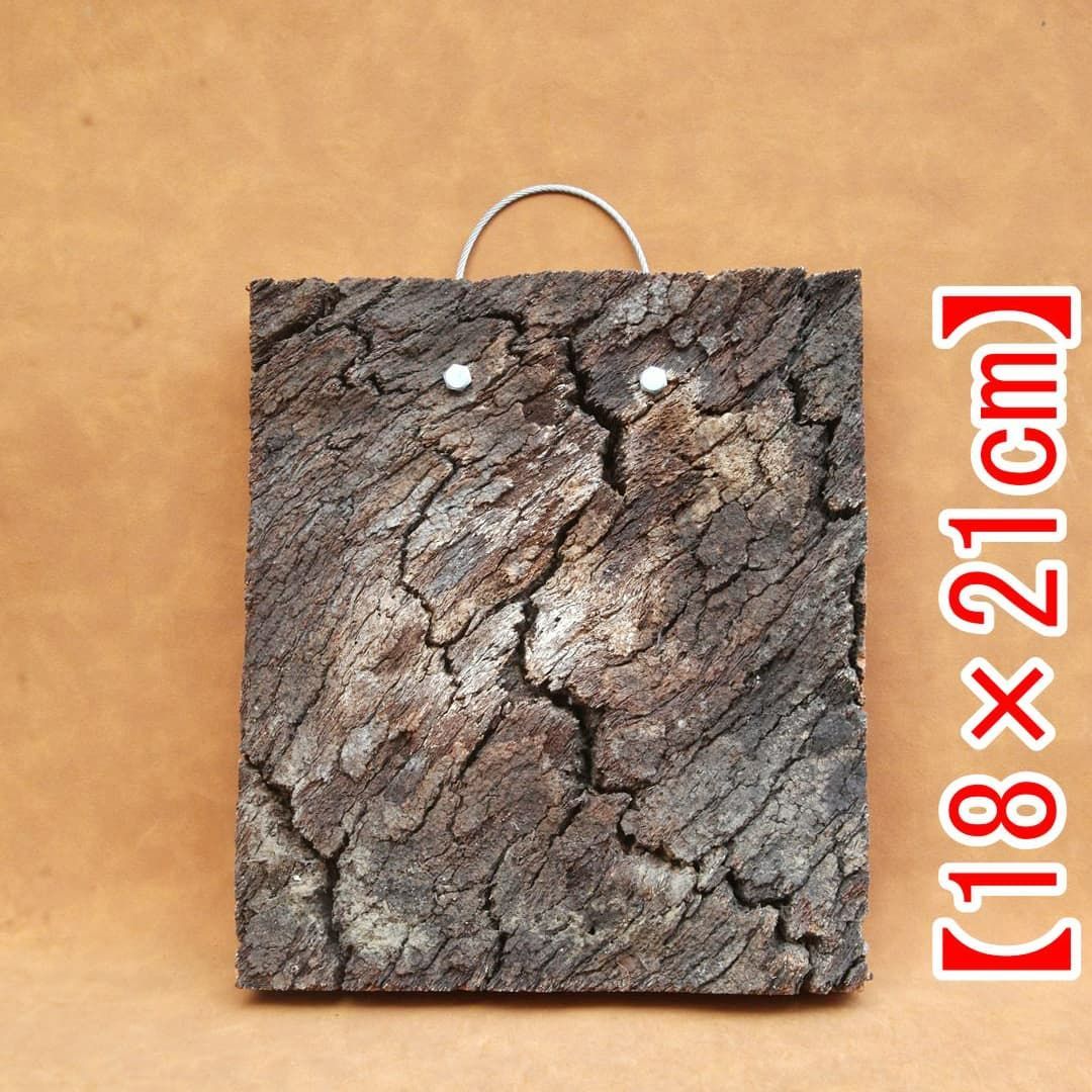 A635 ポルトガル産 高密度加工コルク板 コルク樹皮 バージンコルク