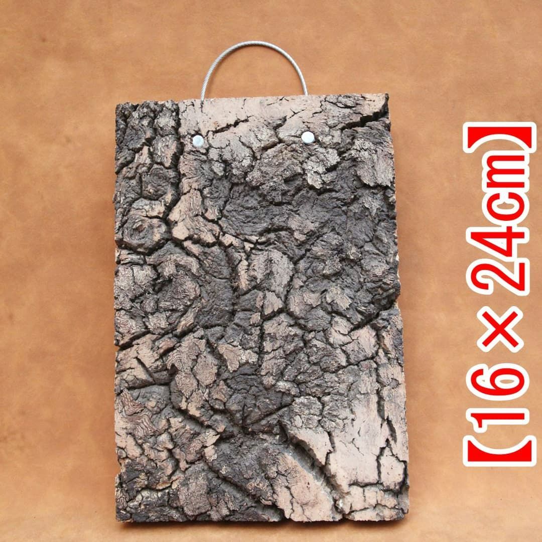 A610 ポルトガル産 高密度加工コルク板 コルク樹皮 バージンコルク