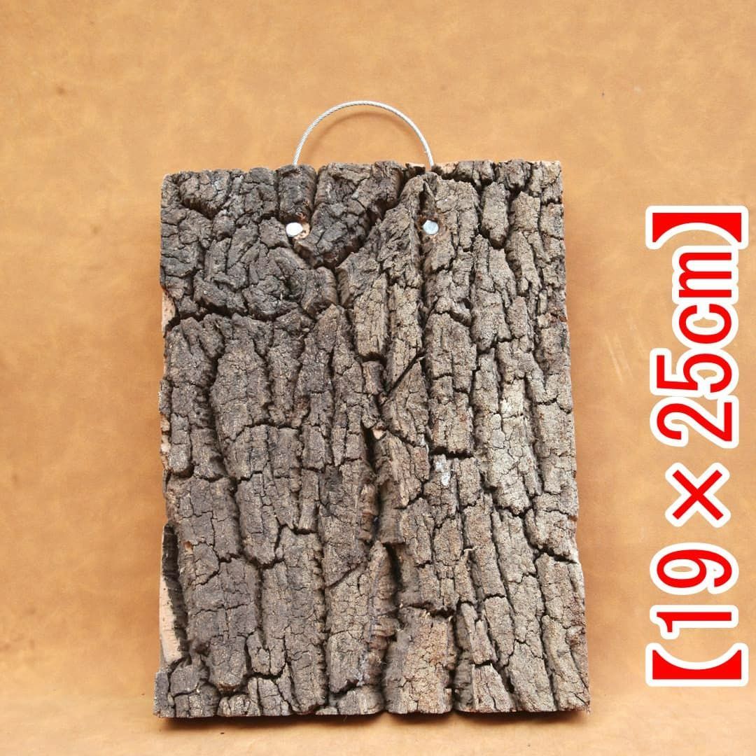 A641 ポルトガル産 高密度加工コルク板 コルク樹皮 バージンコルク