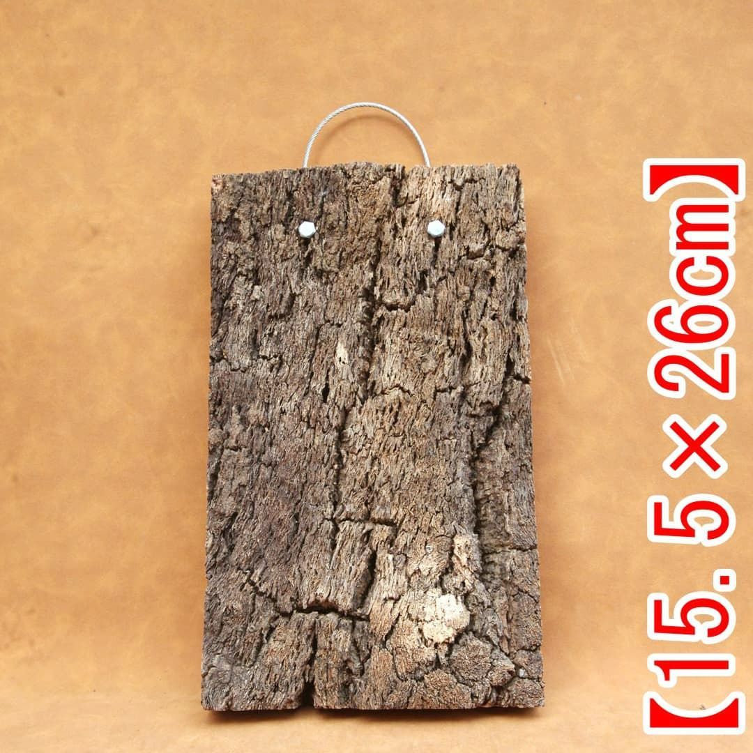 A646 ポルトガル産 高密度加工コルク板 コルク樹皮 バージンコルク