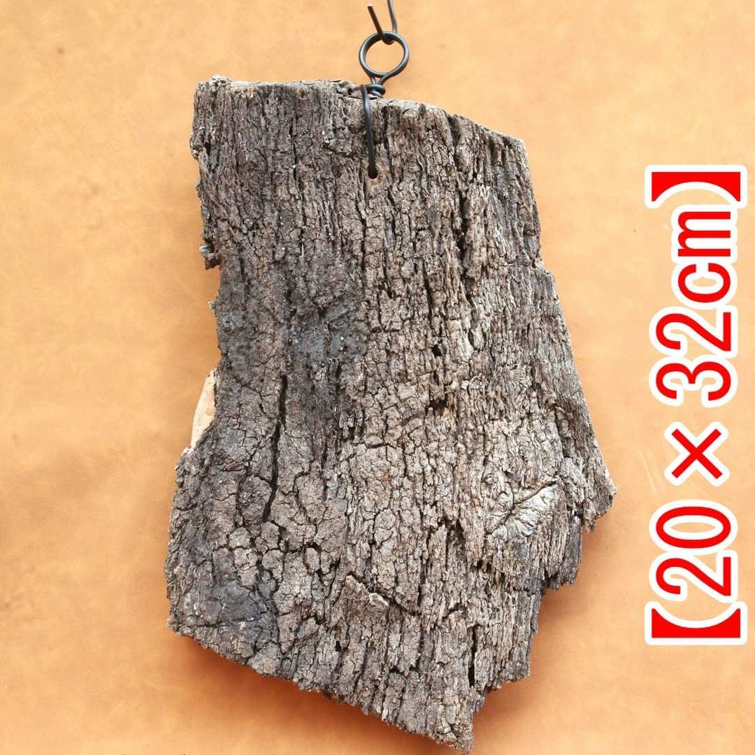 C050 ポルトガル産 キャノンコルク コルク樹皮 コルク板　バージンコルク C050 ポルトガル産 キャノンコルク コルク樹皮 コルク板 バージン